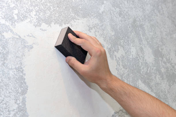 Best Mold Remediation for Healthcare Facilities  in Velva, ND