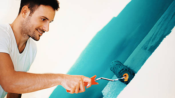Trusted Velva, ND Mold Removal Experts