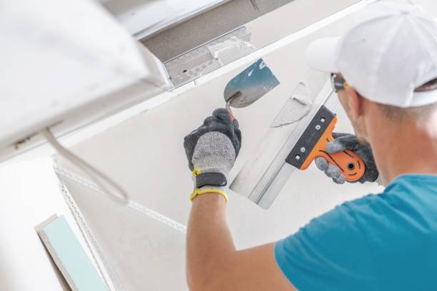 Best Water Damage & Mold Remediation  in Velva, ND